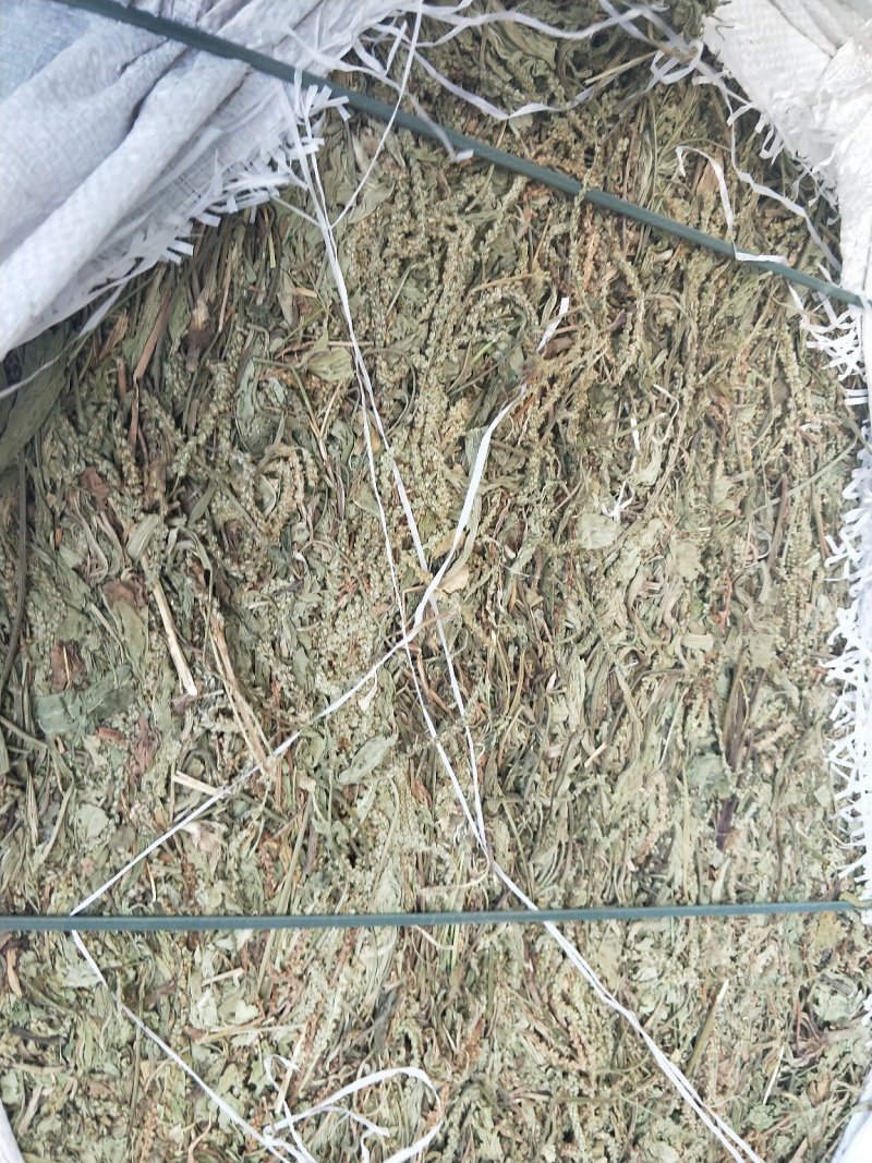 车前草江苏产地直销批发。量大从优符合国家标准