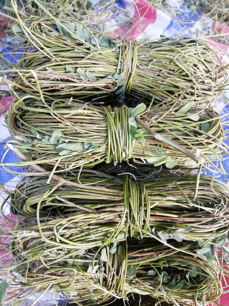 鸡骨草