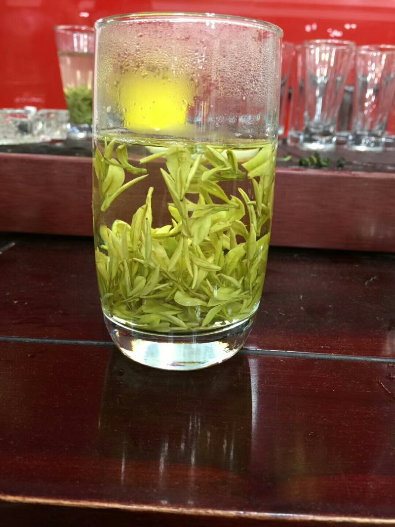 安吉白茶