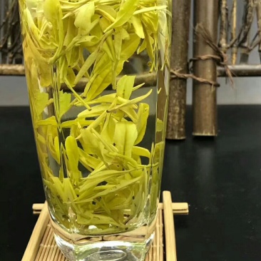 安吉白茶