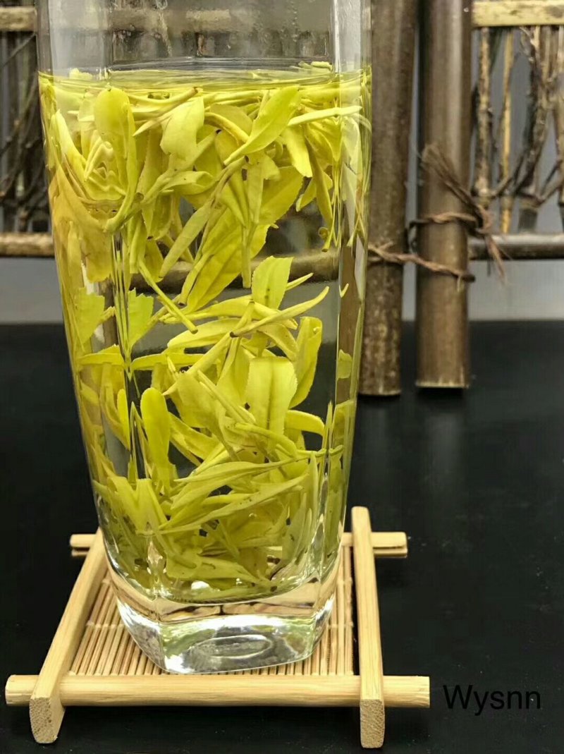 安吉白茶
