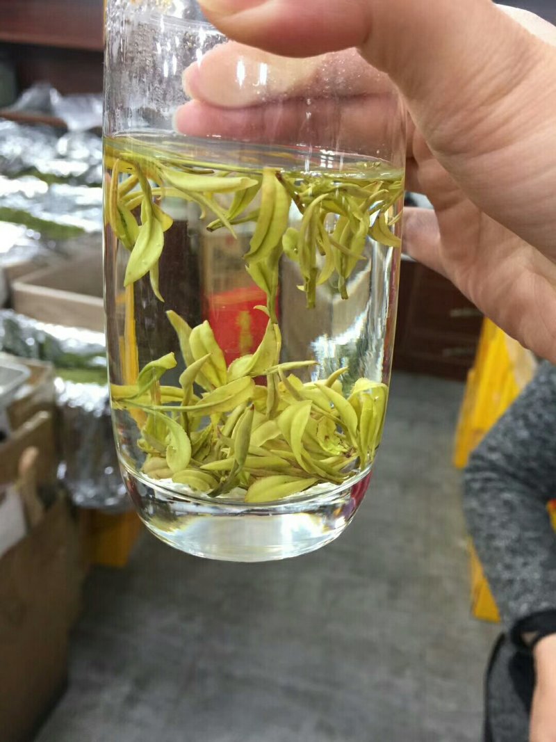安吉白茶