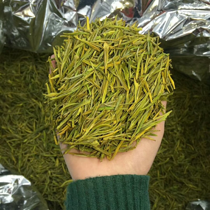 安吉白茶