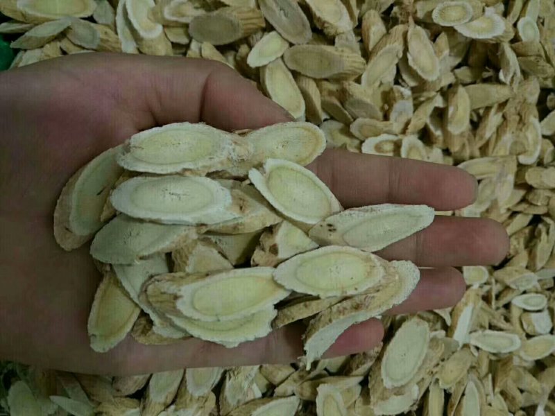 甘肃岷县黄芪片子