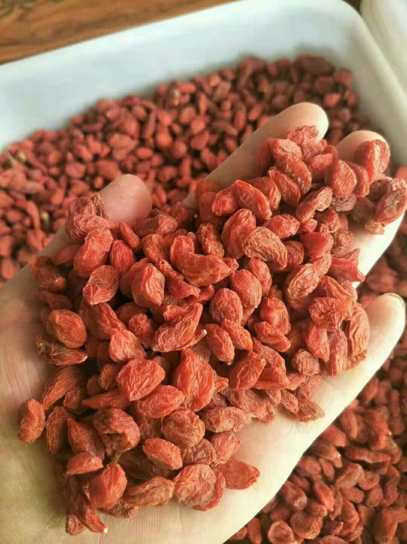 中宁枸杞批发500g