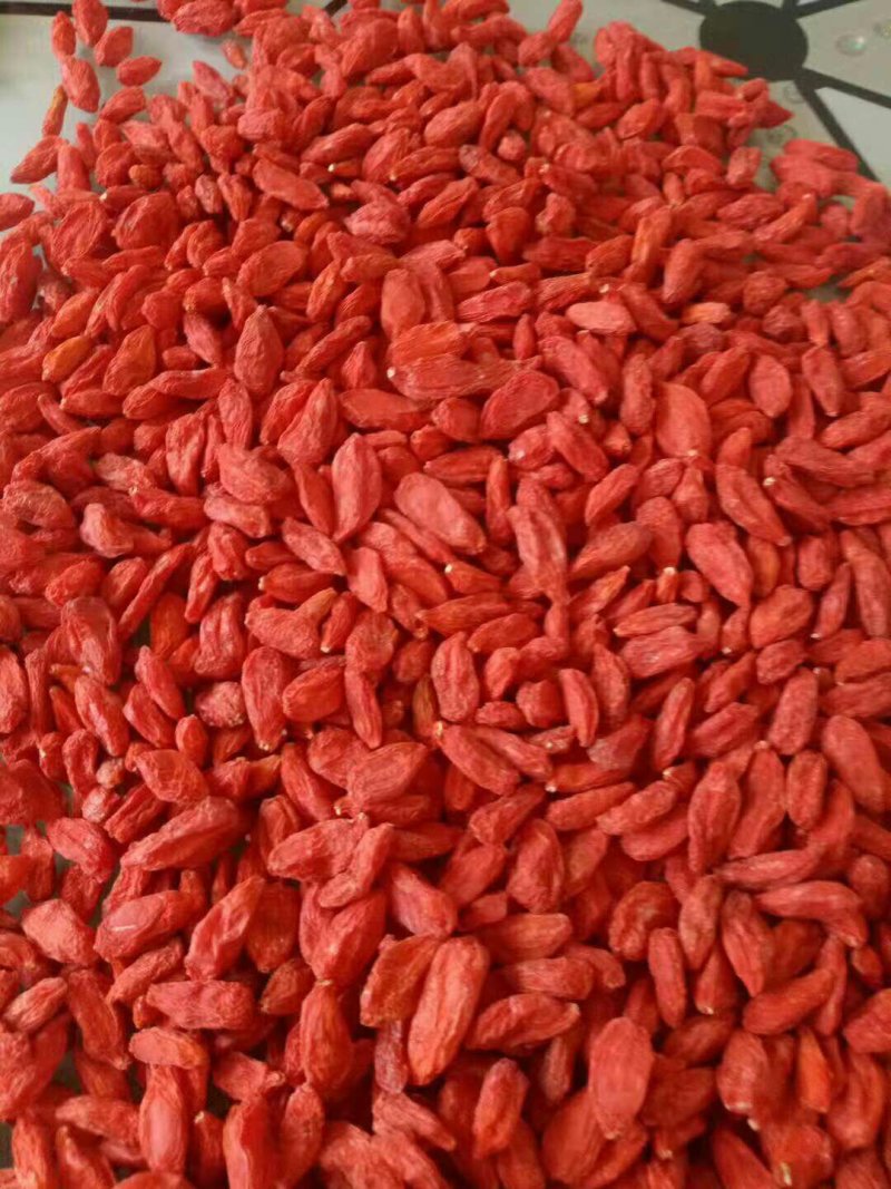 中宁枸杞批发500g