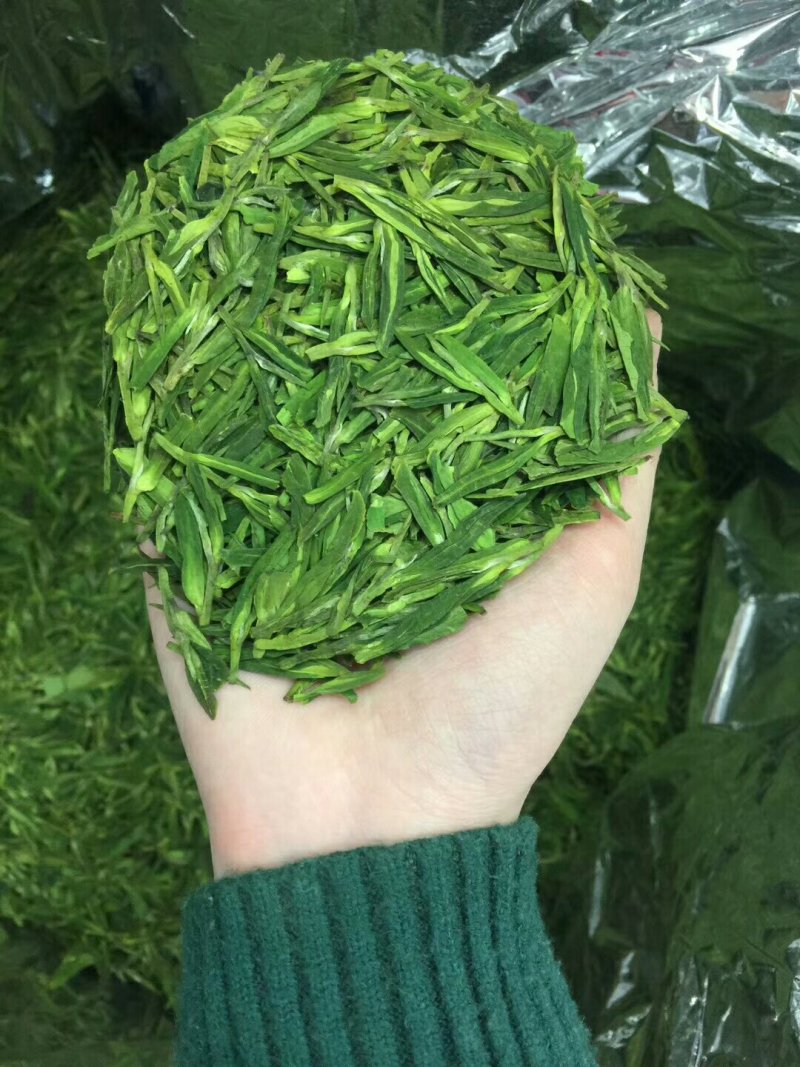 西湖龙井