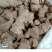 云南重楼500g