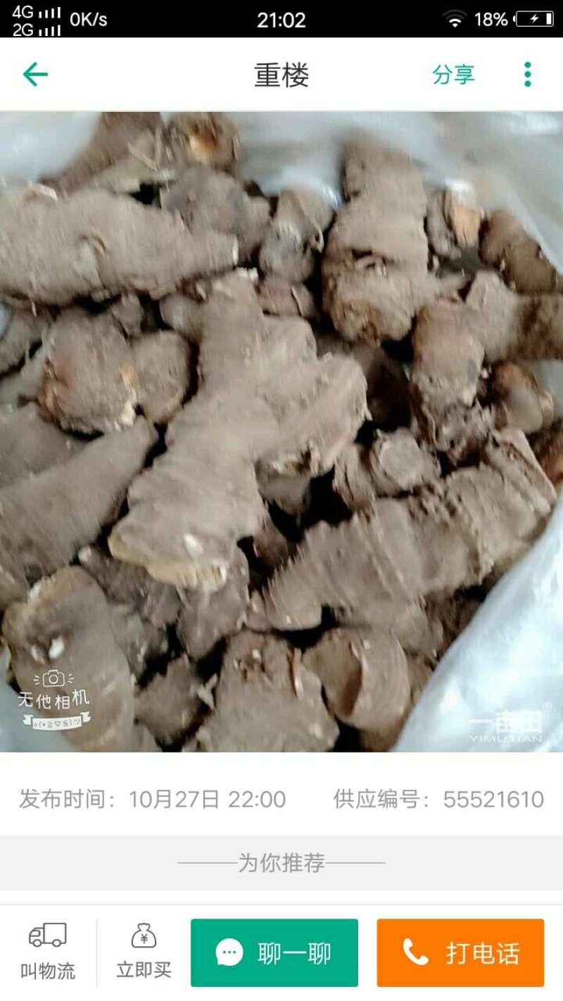 云南重楼500g