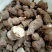 云南重楼500g