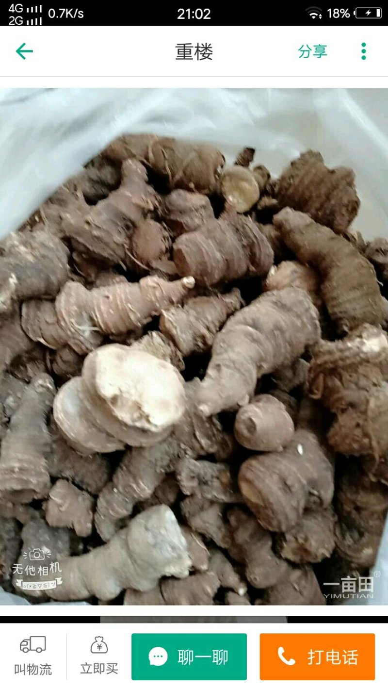 云南重楼500g