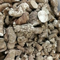 云南重楼500g