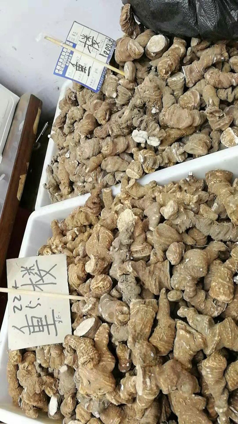 云南重楼500g