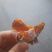 刚晒好的柿饼