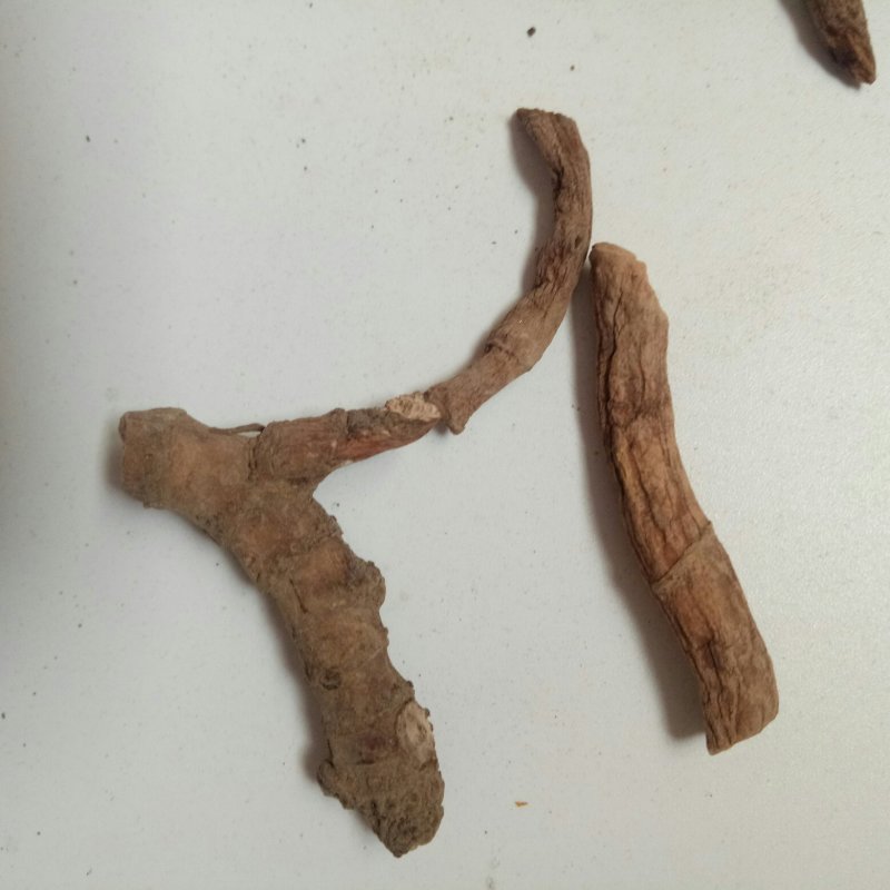 三白草根一公斤起卖包邮量大从优
