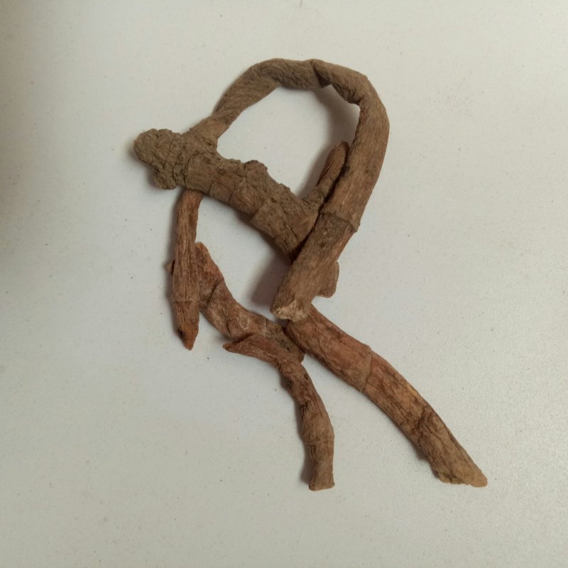 三白草根一公斤起卖包邮量大从优