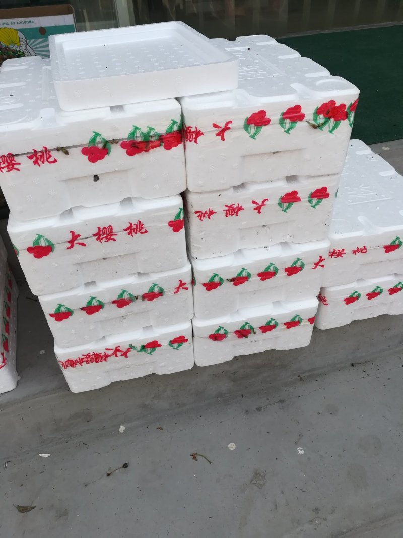 黄蜜樱桃（保证纯正品种）