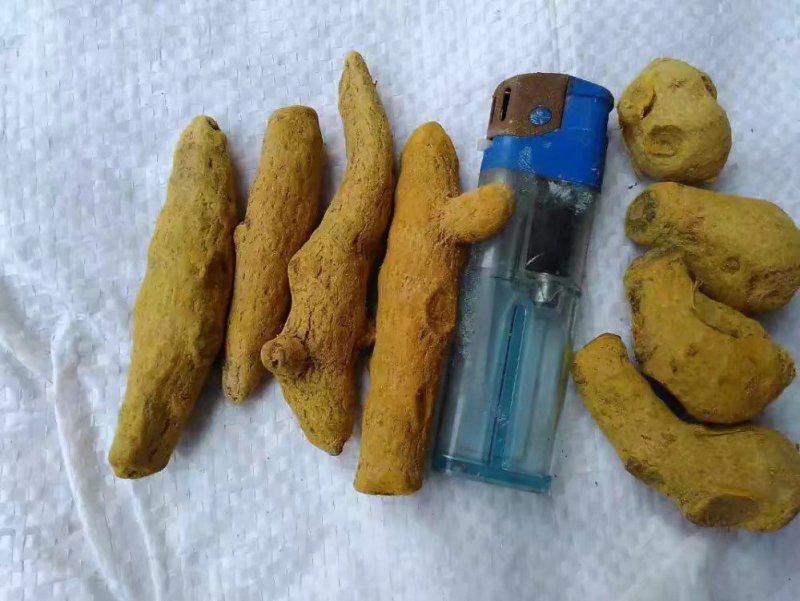 姜黄，中药材姜黄，批发零售，产地一手货源价格实惠