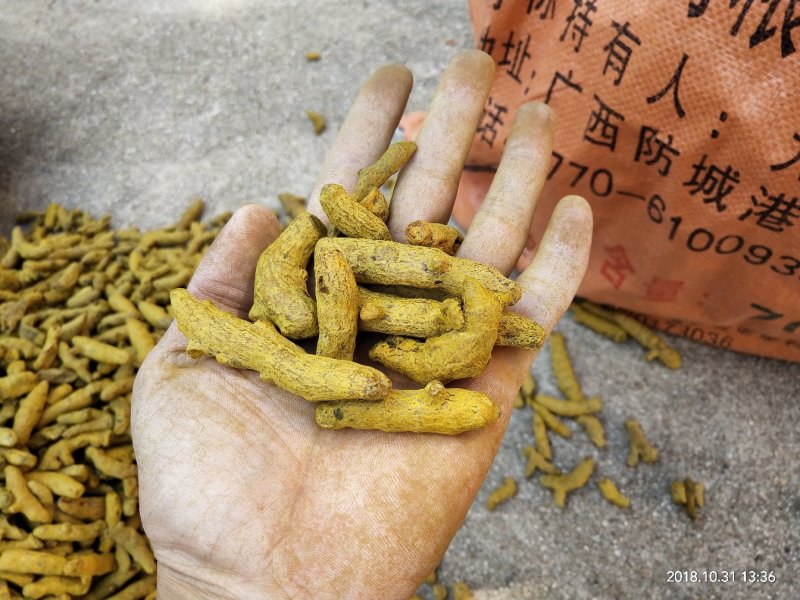 姜黄，中药材姜黄，批发零售，产地一手货源价格实惠