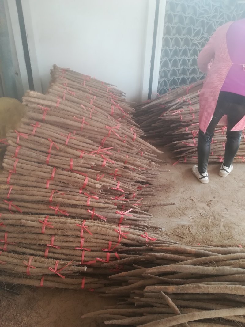 白玉山药