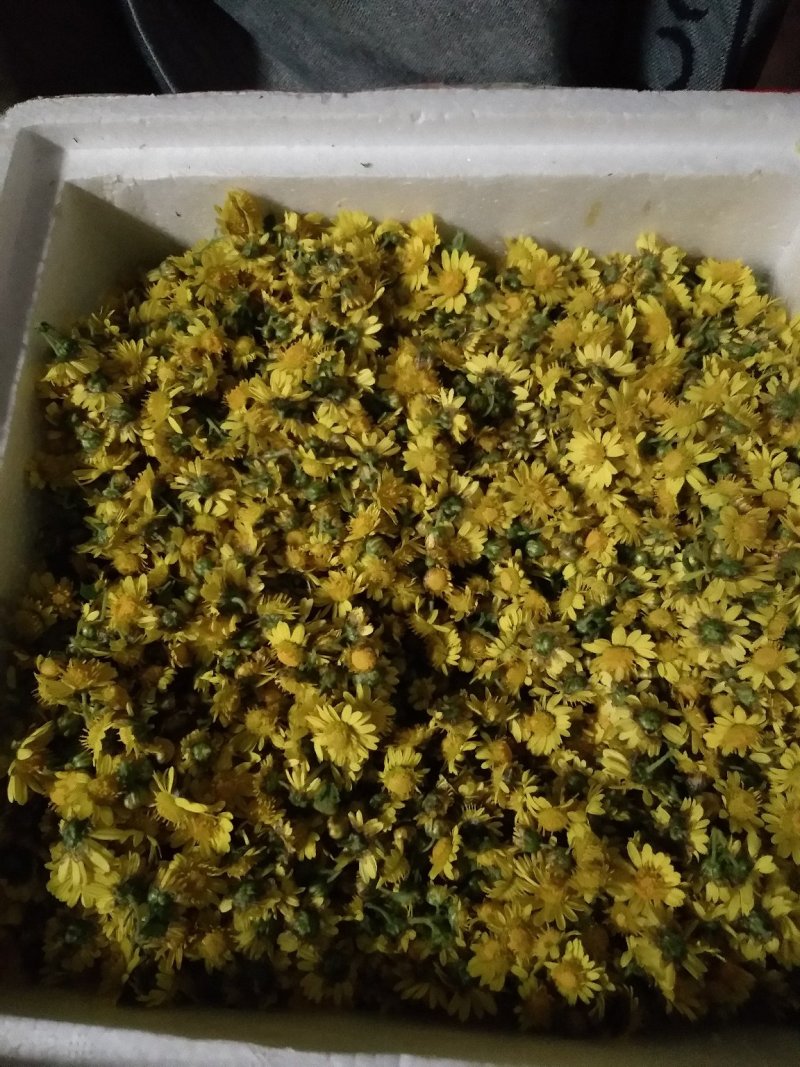 野生菊花先蒸后晒干货需要预订