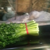 小颗西芹