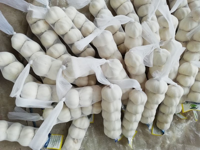 精品白皮蒜
