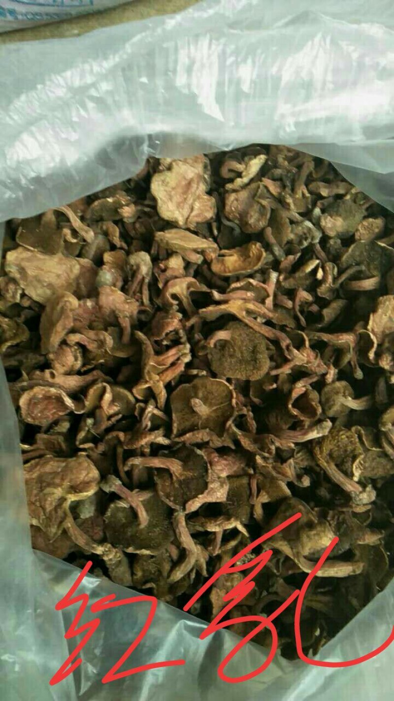 云南野生干菌批发零售