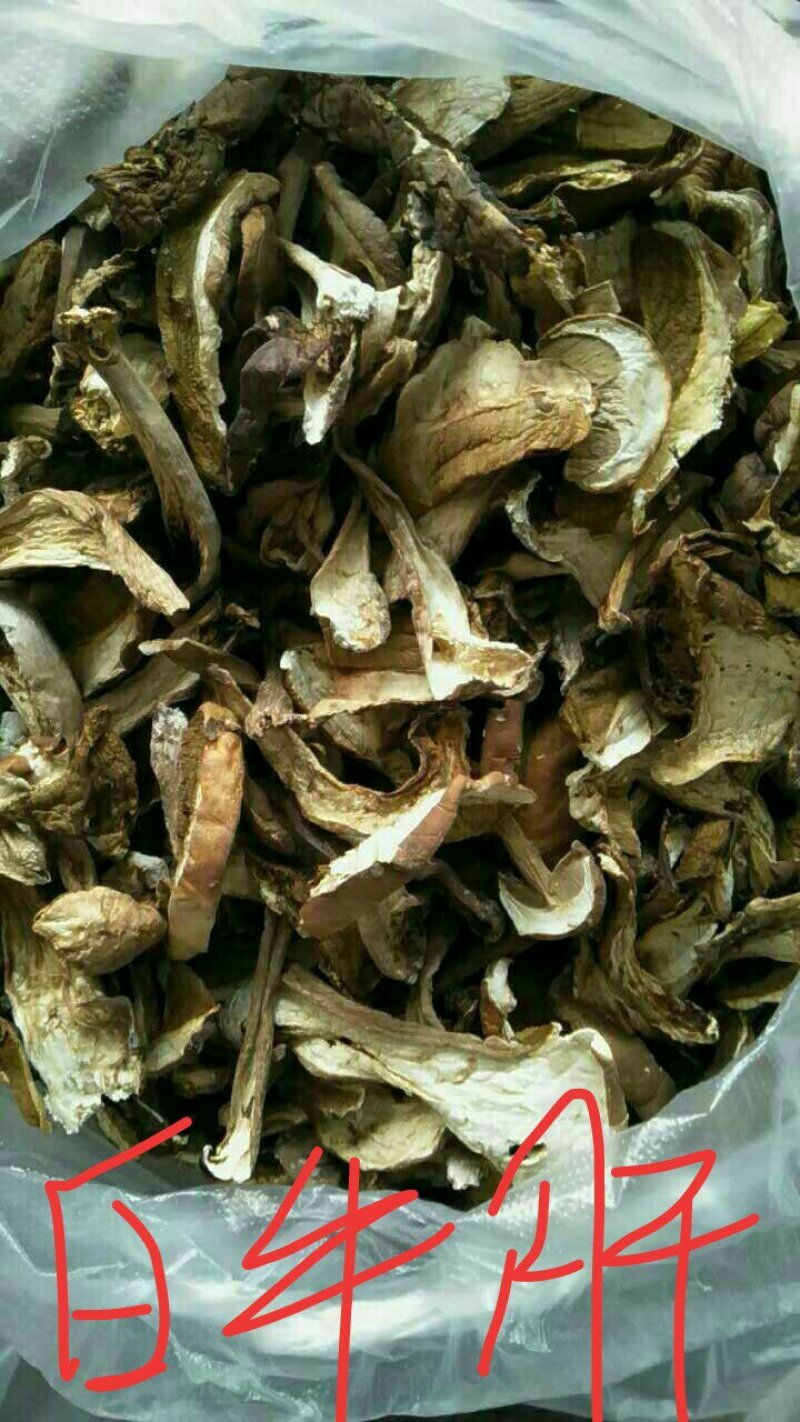 云南野生干菌批发零售