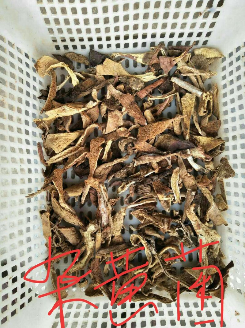 云南野生干菌批发零售