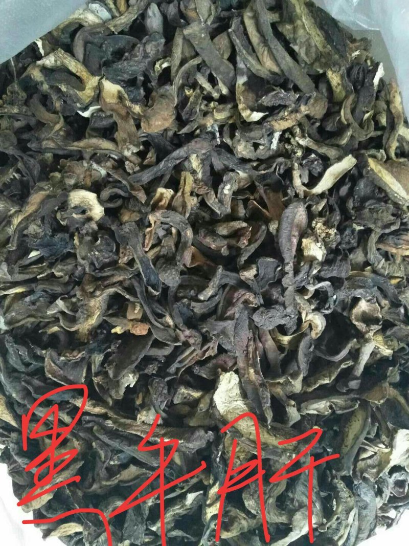 云南野生干菌批发零售
