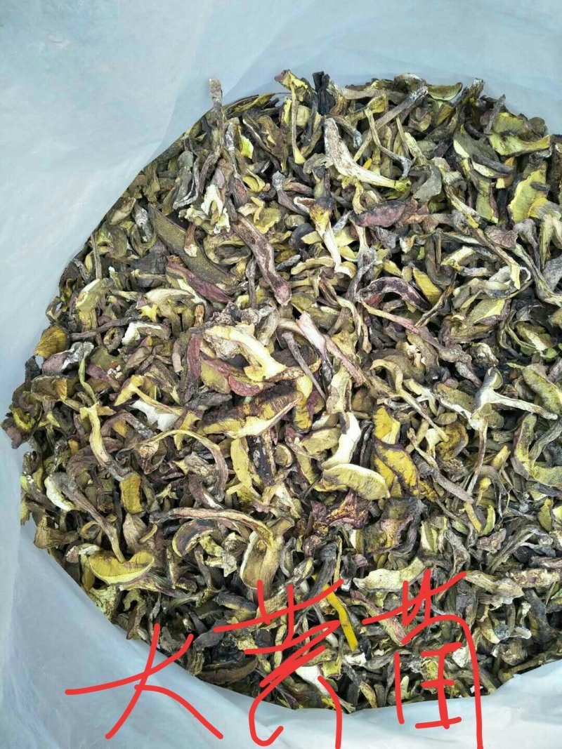 云南野生干菌批发零售