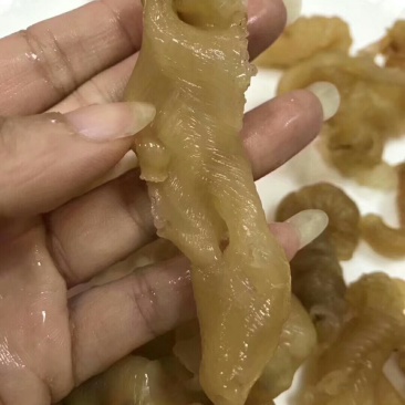 小黄花同胶，特价，一斤包邮