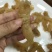 小黄花同胶，特价，一斤包邮