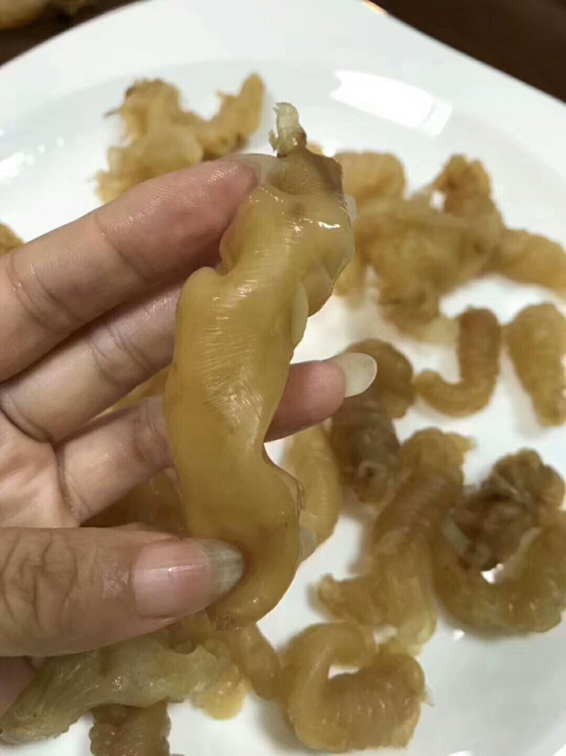 小黄花同胶，特价，一斤包邮