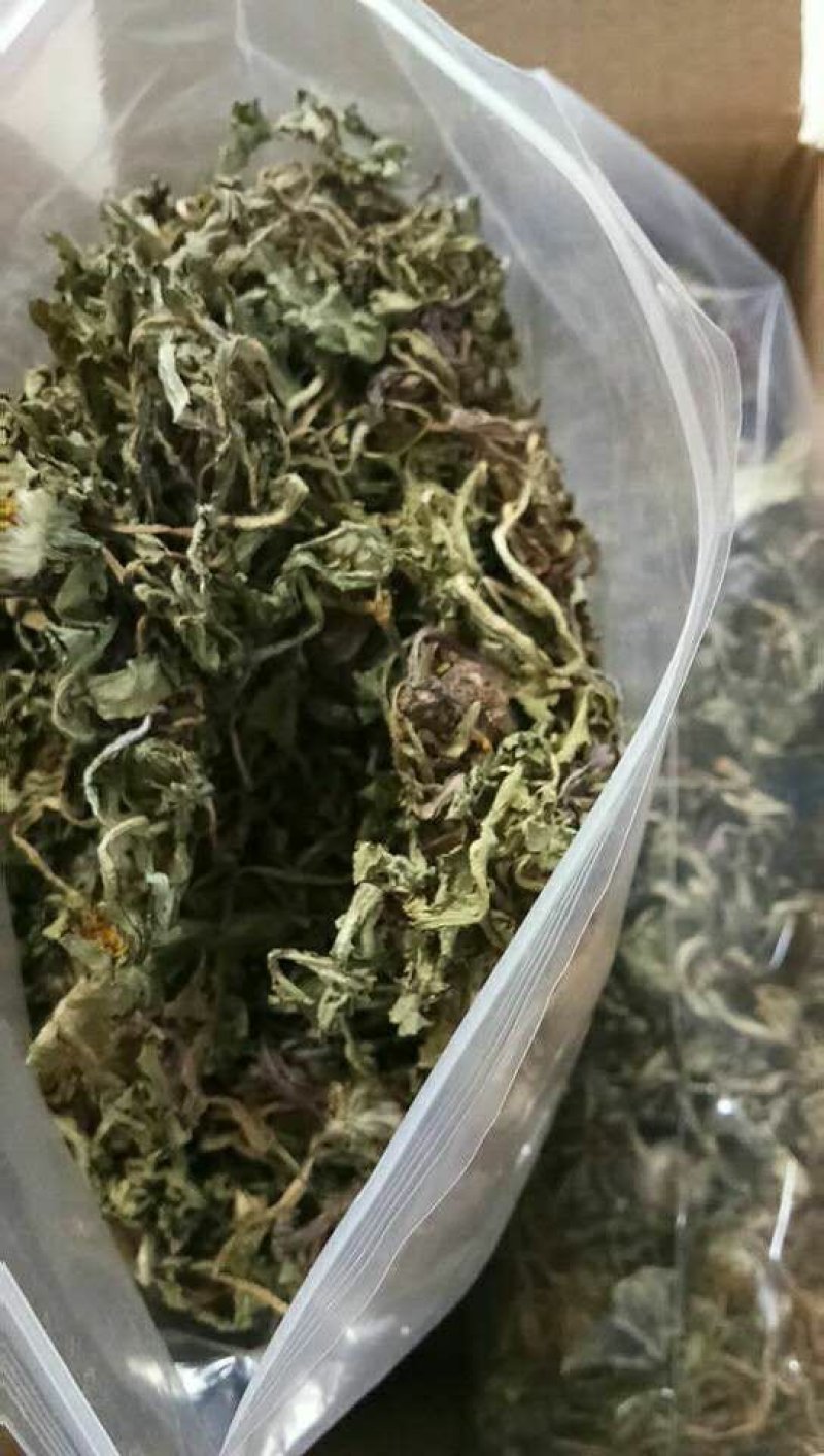 野生蒲公英洗过晒干