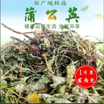野生蒲公英洗过晒干