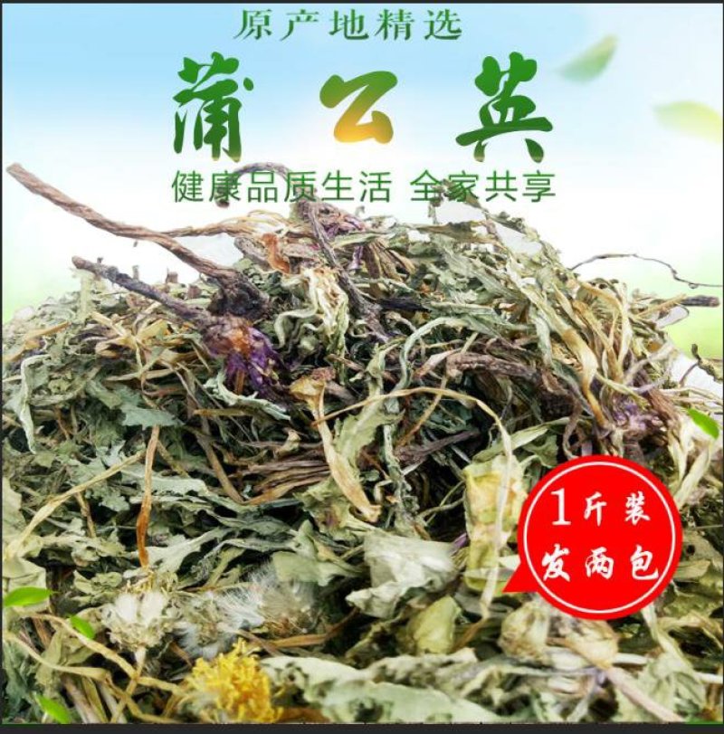 野生蒲公英洗过晒干