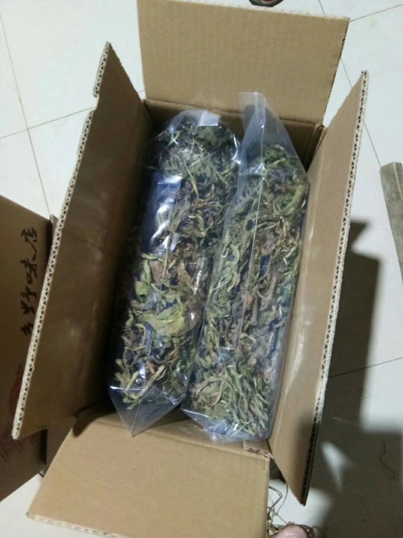 野生蒲公英洗过晒干