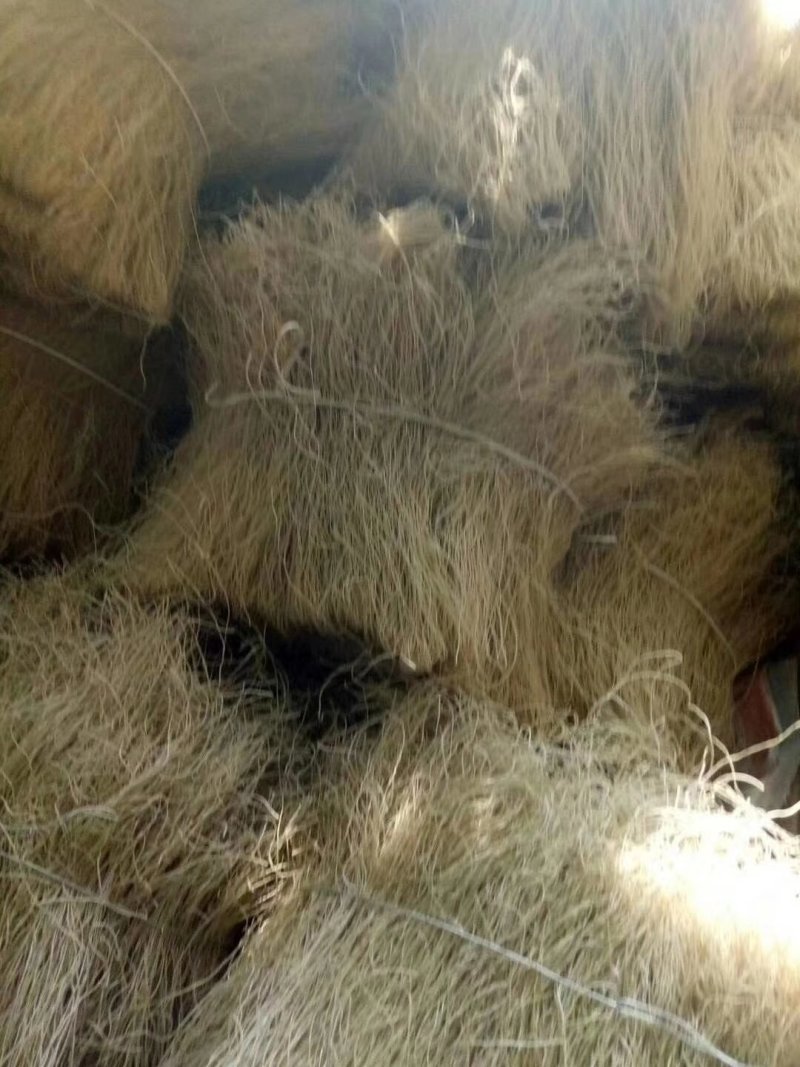 纯红薯粉条