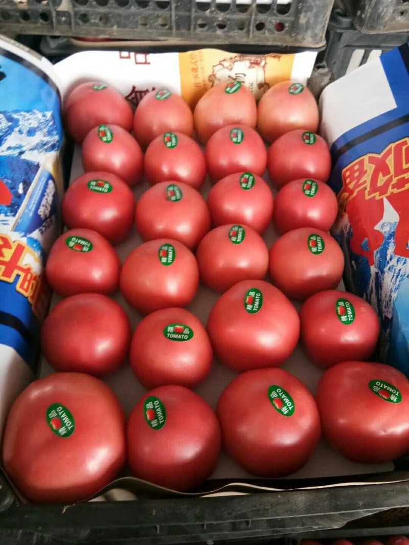 精品西红柿山东聊城电商，超市，市场供应全国