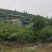 400亩山林地转让