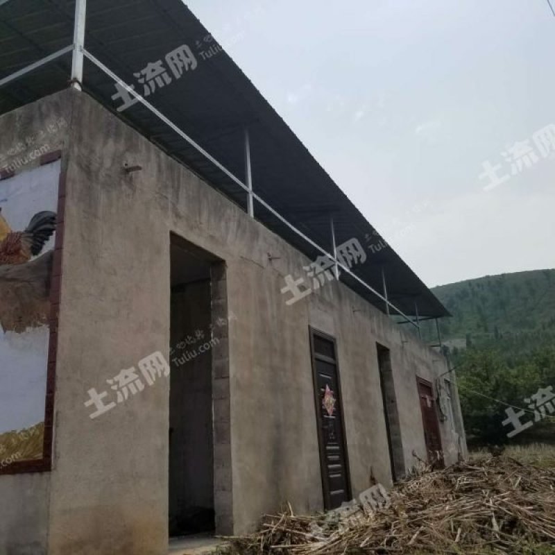 400亩山林地转让