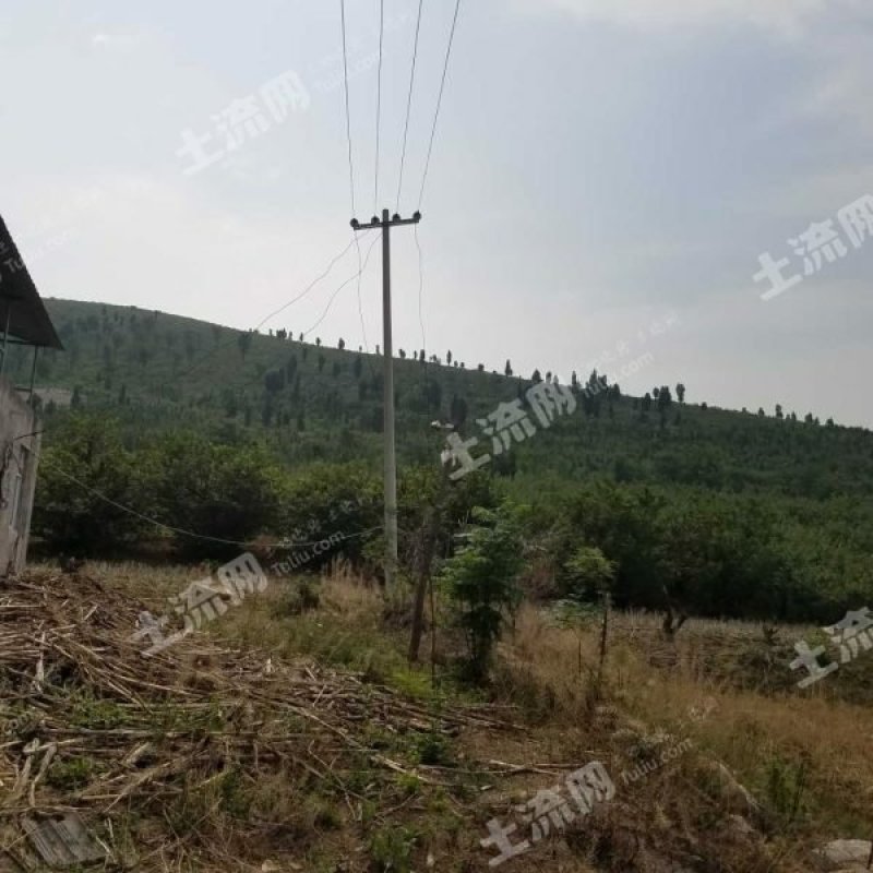 400亩山林地转让