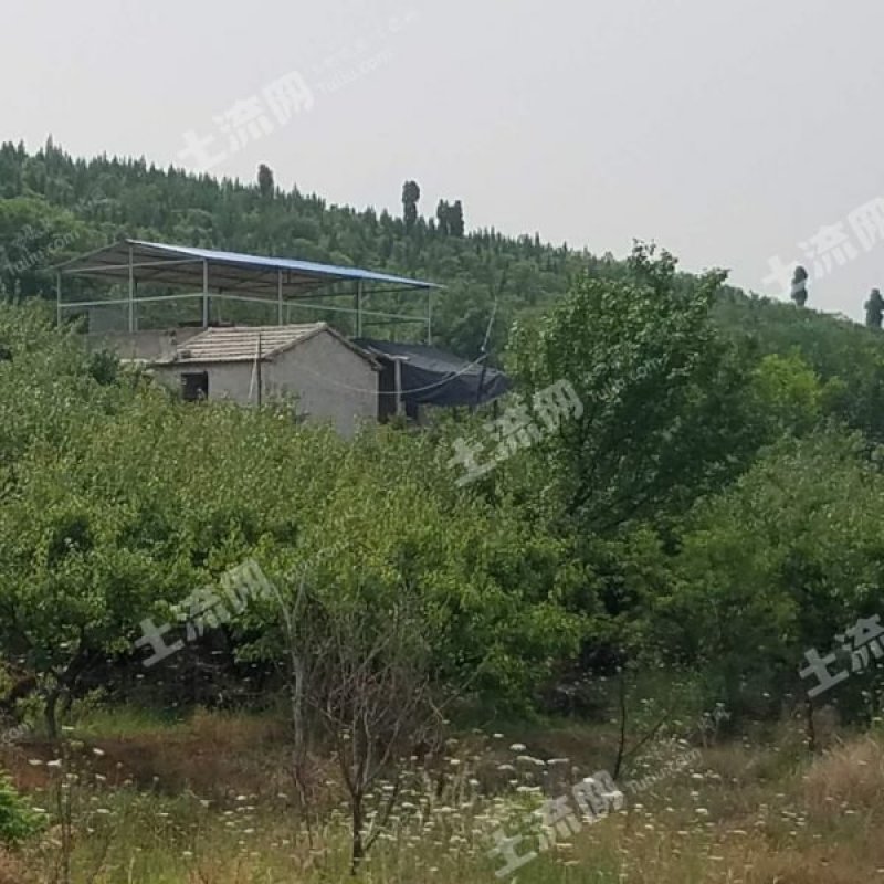 400亩山林地转让
