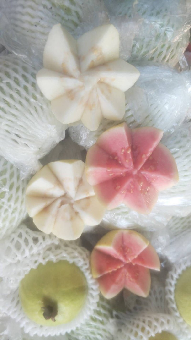 廉江香石榴胭脂红番石榴小百香