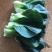 青菜