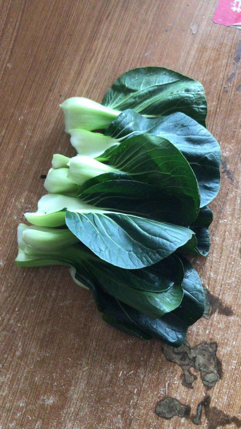 青菜