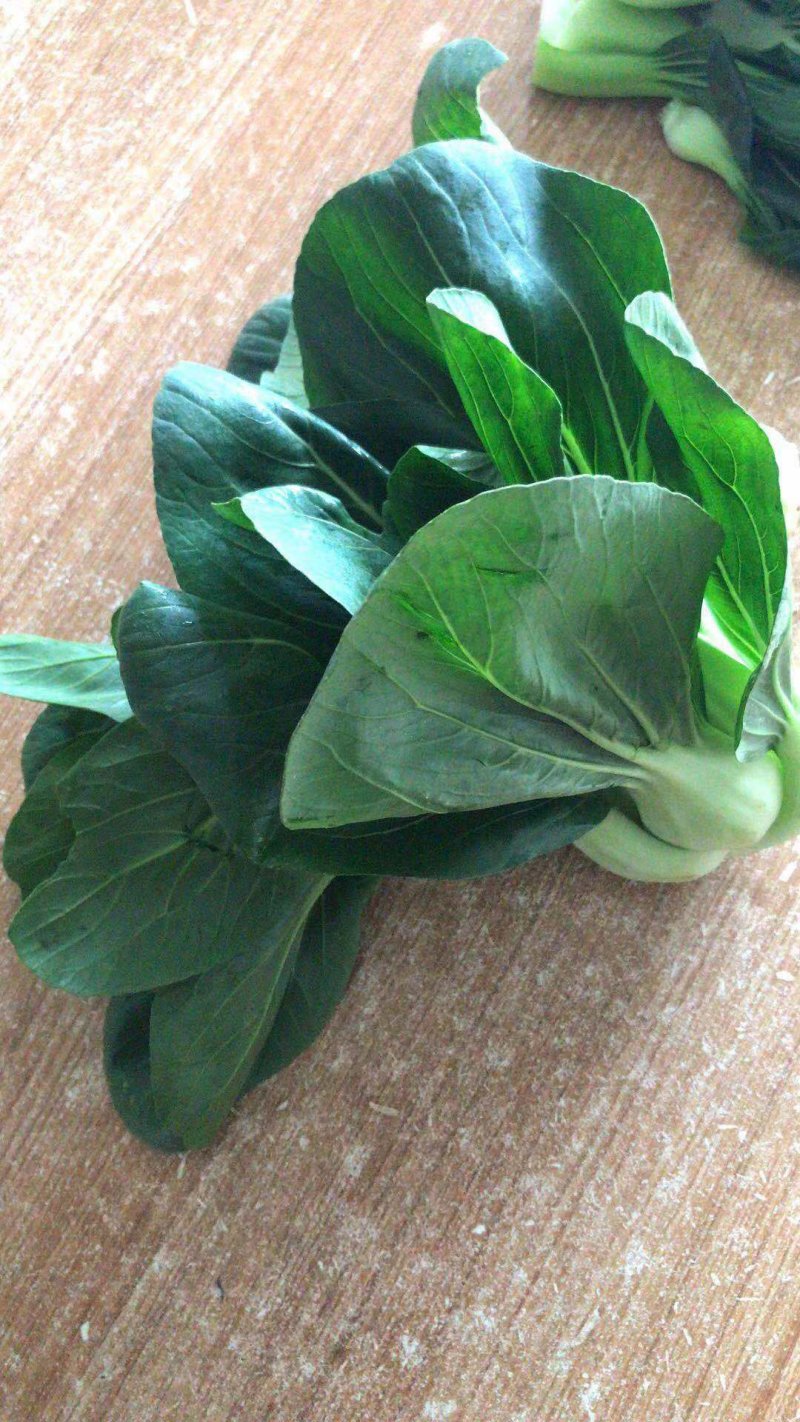 青菜