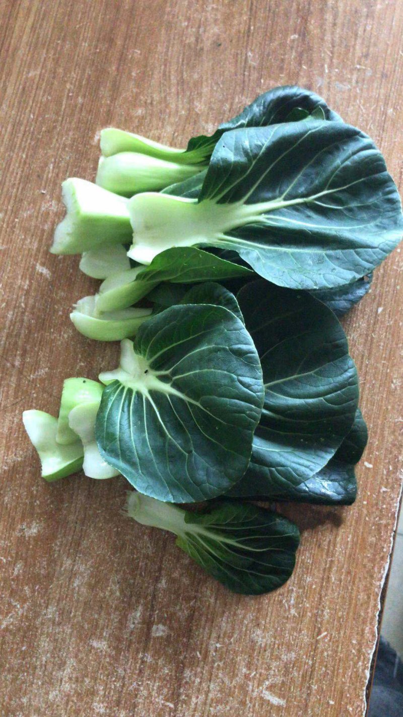 青菜